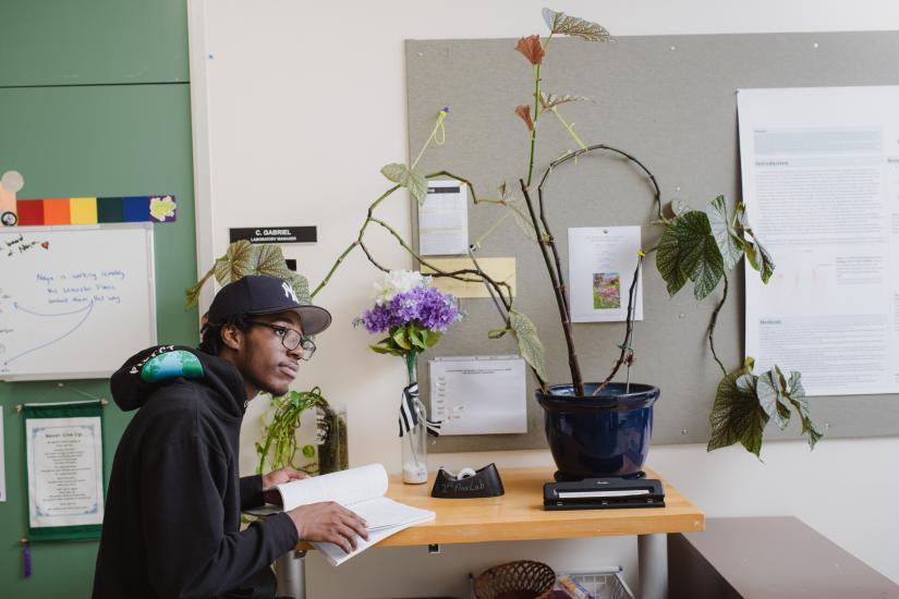 man sitting at a desk